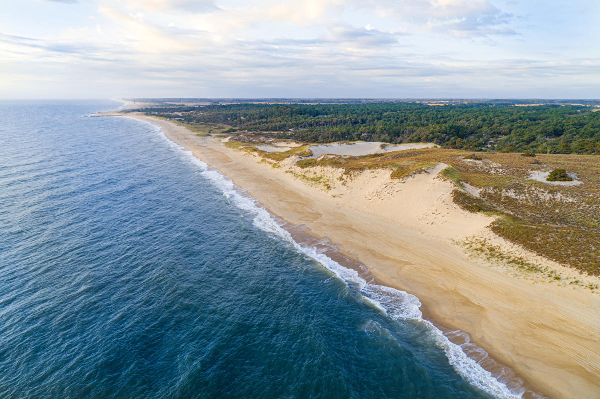 Cape Henlopen State Park and Beach